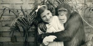 Pets & their People explores the long, strange history of human‑animal companionship