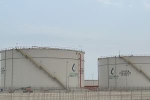 Blocking Fertilisers: The Hormuz Strait and Agricultural Shock