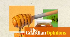 Honey as a superfood: can it really heal wounds, fight superbugs and provide sweet relief for coughs?