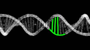 Get Rich or Live Forever Trying: 3 Hot Longevity Startups Selling Health and Hope