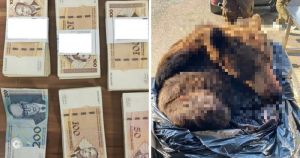 UZNEMIRUJUĆA FOTOGRAFIJA Šok na granici! Carinici zaustavili automobil iz Srbije pa otvorili prtljažnik: Prizor ih je zapanjio