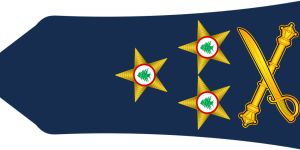 «صناعة الرئيس»!