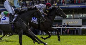 'Writing’s on the wall for greyhound racing. Now let's ban horse racing'