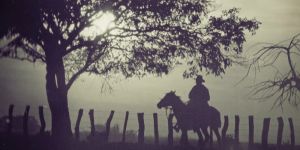 Lo bueno, lo malo y lo feo de Doña Bárbara