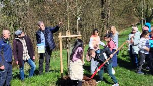 Waldnuss, Felsenbirne, Esskastanie – Erste Klassen bekommen eigene Bäume