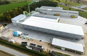 L’Erba del Persico, green e investimenti tra Portomaggiore e il Nord Europa