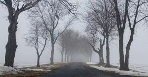 Why We Fear Being Forgotten