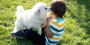 A mom noticed her dog acting strange around her son for days. His explanation left her speechless.