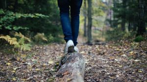 The ‘Right To Roam’ Is Not A Right: It’s A State-Issued Trespass Permit – OpEd