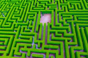 Laberinto, por Fernando Luis EgaÃ±a