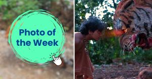 Watch: Kerala Artist Uses Only Waste to Recreate Kantara's Tiger With Striking Detail