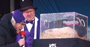 Wiarton Willie dies, ‘foul play’ suspected