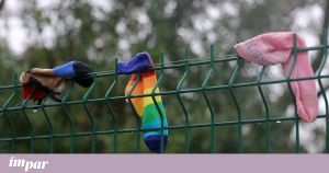 O que nos dizem estas meias?