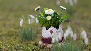 La primavera non vuole arrivare, nuove perturbazioni e rischio di una Pasqua fredda e variabile