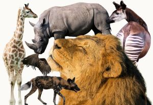 Biolog: Enhedslisten under Pelle Dragsted minder om gazelle­flokke