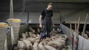 Er vi ved at begå samme fejl med landbruget, som vi gjorde med forsvaret?