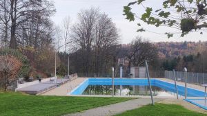 Die Schwimmfreunde haben reichlich zu tun