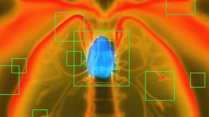 New Study Finds One Small Organ May Play Vital Role in Longevity