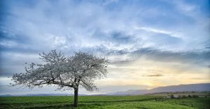 The Experience of Inner Liberation