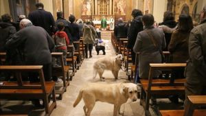 La missa dels gossos