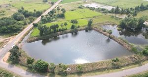 A Revolutionary Water Solution Revives 790 Water Bodies & Empowers 5.4 Lakh People