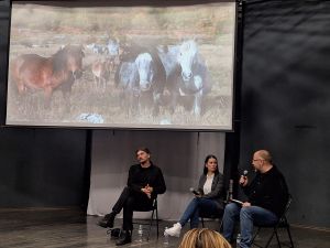 Film o konjima koji govori najviše o ljudima: Livanjski divlji konji – između slobode i nebrige