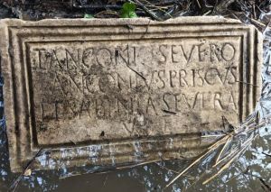 Livorno, va nel bosco a cercare asparagi e trova una lapide romana: «Una triplice emozione»