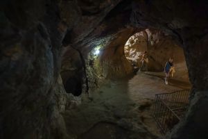 Det enorme funnet forbløffer en hel verden