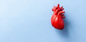 Magnetic fluid injected into the heart could stop strokes before they start