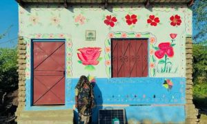 Running on sunshine: Pakistan’s solar boom to tide over Middle East energy crisis