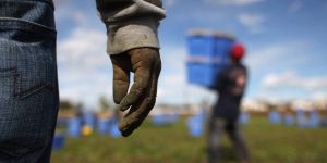 Telling Americans the Truth About Immigration