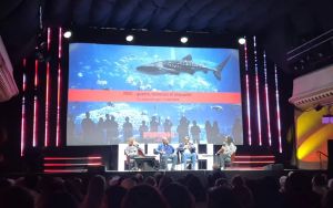 Toprağın altındaki soru: Üç film, bir yağma