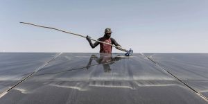 Africa Is Forging Its Own Green Future