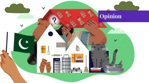 The Silent Erasure: Understanding the Housewife Syndrome in Pakistan