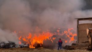 Al rogo tremila balle di fieno in una azienda agricola
