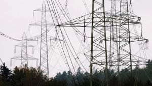 Blackout elettrico a San Stino di Livenza, disagi e tecnici al lavoro