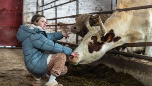 Russen zien belastingen enorm toenemen door oorlog. ‘Ben bang dat ik koeien moet slachten’