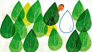 Our water challenge is stark. Here are four ways to reimagine the solution