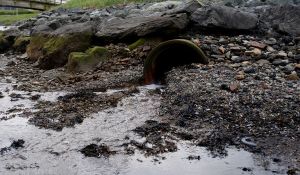 Det vi sparer på kort sikt, kan koste oss dyrt