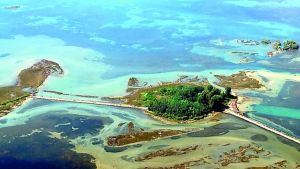 Nella laguna di Marano e Grado c’è ancora il mercurio: è stato trovato nei capelli di pescatori e lavoratori del porto