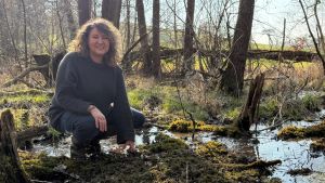 Mitten in der Natur: Was eine Bachaue am Waldrand so besonders macht