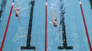 En dilettante – Sociologie aquatique en bassin fermé