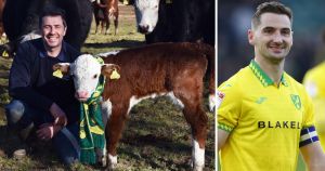 Meet Kenny Mooclean - the miracle 'calf in a scarf' named after the Canaries captain