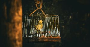 Escaping the Tragedy of the Separating Mind