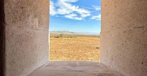 How Trauma Disrupts 6 Universal Psychological Needs