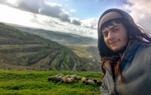 Teen resident of West Bank outpost killed after Palestinian vehicle strikes his ATV