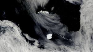 Ooit was het de grootste ijsberg ter wereld, nu is A23a nog maar een ijsblokje