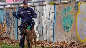 San Jacopino, linea dura del Comune: 45 persone identificate, prime denunce. E scattano i servizi ad hoc dei vigili