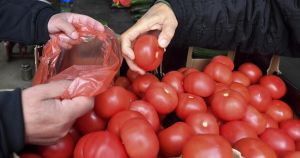 Ortomercato e mercati di quartiere, la mano pubblica per il diritto alimentare