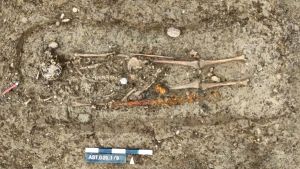 Bagger legt Sensationsfund frei: Die Archäologen sind von der Grab-Beigabe überrascht